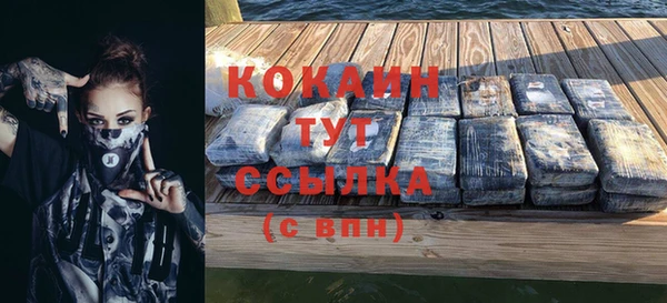 бошки Богданович