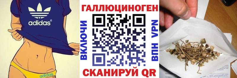 Галлюциногенные грибы прущие грибы  Купить  Нытва 